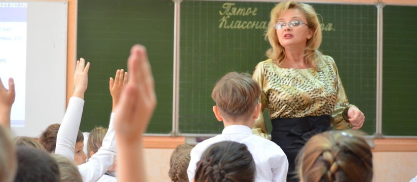 «Учить детей некому!»: в Новороссийске не хватает учителей по физике, химии и математике