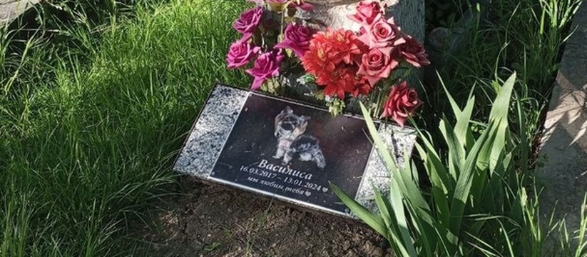 Хозяева установили мемориальную табличку на могиле животного.На кладбище в Абрау-Люрсо рядом с одной из могил похоронили собаку.