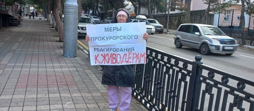 Пушистики провели там 5 дней.У здания прокуратуры Новороссийска второй день проходят пикеты и протесты.