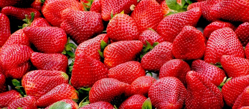 Клубника - это одна из самых популярных ягод среди садоводов и сладкоежек.