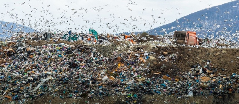 Жители Новороссийска негодуют, что мусорный полигон на горе Щелба убивает окружающую среду.
