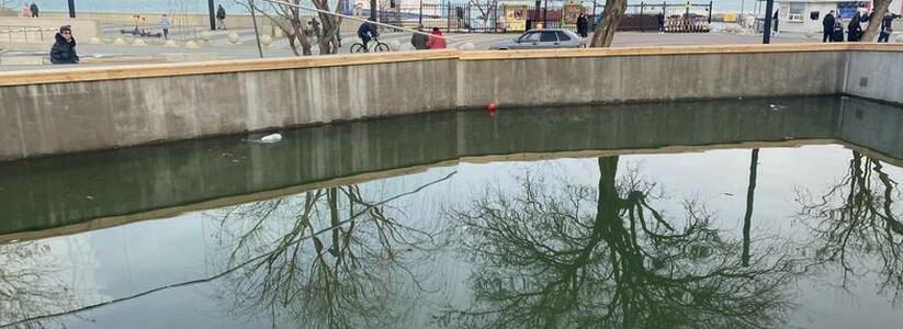 <p>Пластик, шары, окурки от сигарет уже обосновались в пруду недавно открытой первой очереди парка Фрунзе. </p>