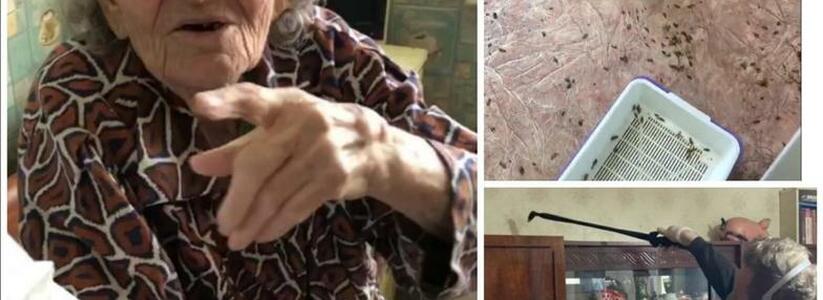 Сотни тысяч тараканов, разруха и жуткий смрад: новороссийские волонтеры помогли навести порядок в квартире пенсионеров