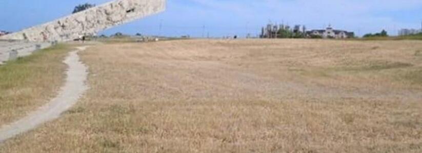 Власти Новороссийска объяснили причину покоса травы на Малой Земле