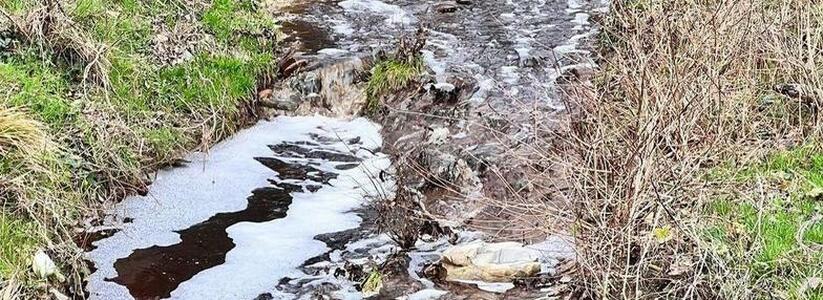 Вода цвета крепкого индийского чая: в реку Озереевка под Новороссийском стекают нечистоты