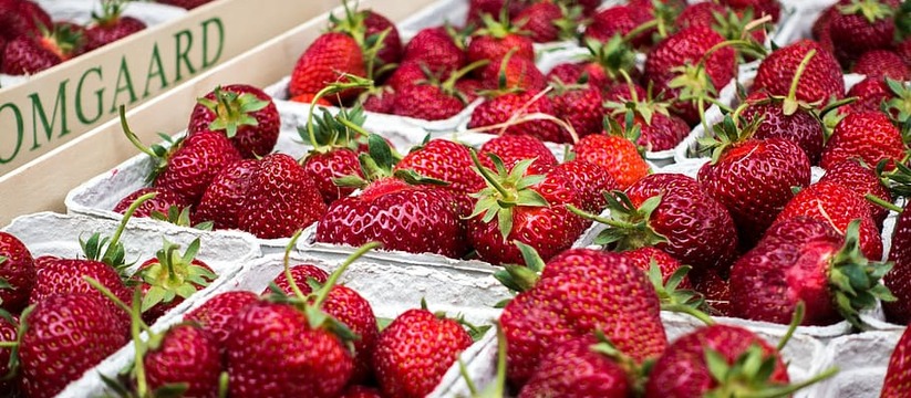 Стоимость сладких ягод всё ещё высока.  Ранняя клубника появляется на рынке не только из местных теплиц, но и из Турции, Азербайджана и Армении.