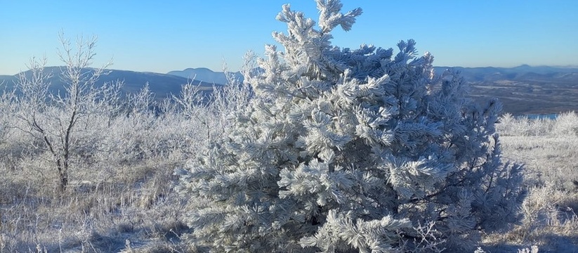 Волшебные снимки зимней сказки.Сегодня ночью температура воздуха в горах в окрестностях Новороссийска опустилась до минус 10 градусов.