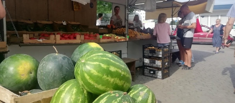 Журналист НАШЕЙ узнала, где можно найти недорогие арбузы в нале июля.Обычно массовая продажа арбузов начинается во второй половине июля.