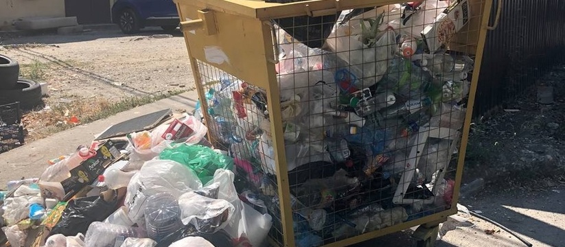 Новороссийск утопает в мусоре: подборка самых грязных дворов города