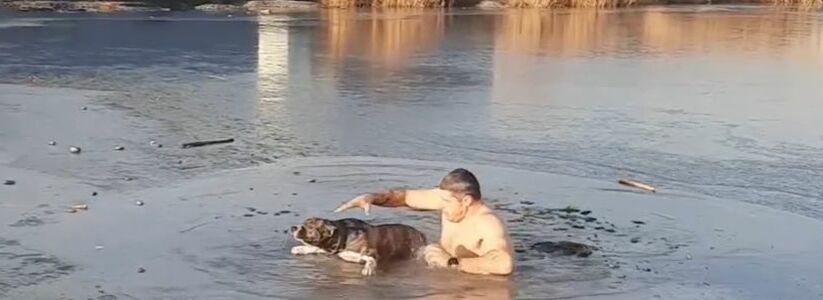 Мужчина в Новороссийске нырнул в воду, чтобы спасти провалившуюся под лед собаку