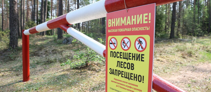 Ограничение действует во всем регионе в связи с высокой пожароопасностью.Жителям Краснодарского края запретили посещение лесов.