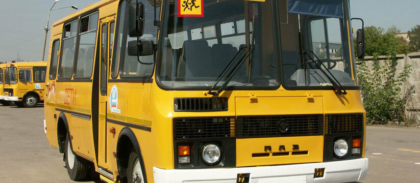 На Кубани водитель школьного автобуса проводил уроки сексуального воспитания с учениками 