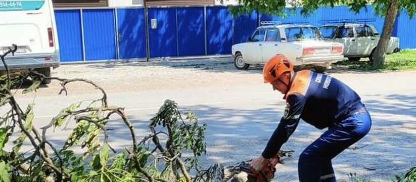 Поваленные деревья, оборванные провода: в Новороссийске уже вторые сутки в бушует норд-ост