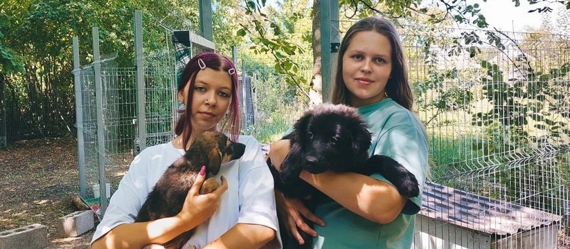 «Они умирали в запертых домах от голода»: волонтерка из Новороссийска спасает животных из Херсонской области