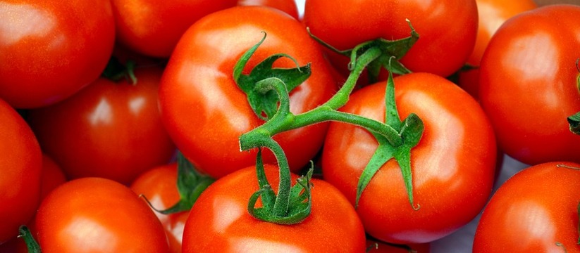 В порту Новороссийска задержали почти 20 тонн зараженных томатов