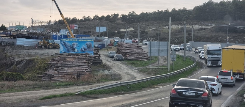 «Сотни деревьев погублены!»: на Волчьих воротах в Новороссийске продолжается вырубка леса