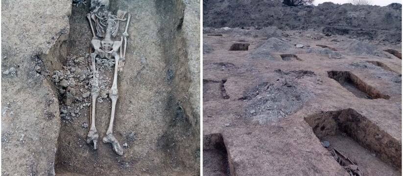 Археологи обнаружили скелеты во время раскопок ...