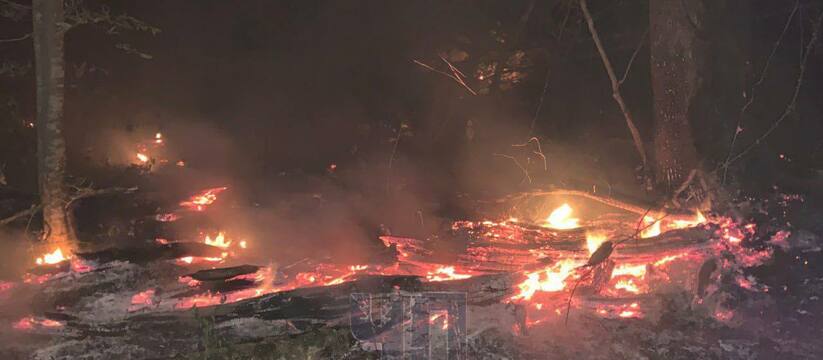Минувшей ночью в Джанхоте под Геленджиком тушили лесную подстилку.Огонь полыхал в труднодоступной местности, где и тушить можно было только ползком.