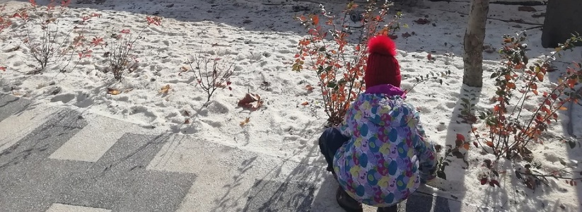 «Дети играют в клумбе, как в песочнице!»: новороссийцы назвали новое наполнение клумб в парке Фрунзе непрактичным