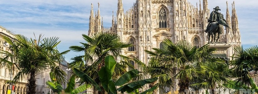 "Власти предпочитают скучные и банальные растения": новороссийцы предлагают озеленить город экзотическими деревьями, как это сделали в Милане и Париже