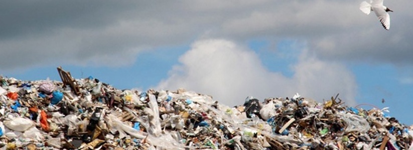 Проблему мусорного полигона в Новороссийске обсудят на Совете по правам человека при губернаторе
