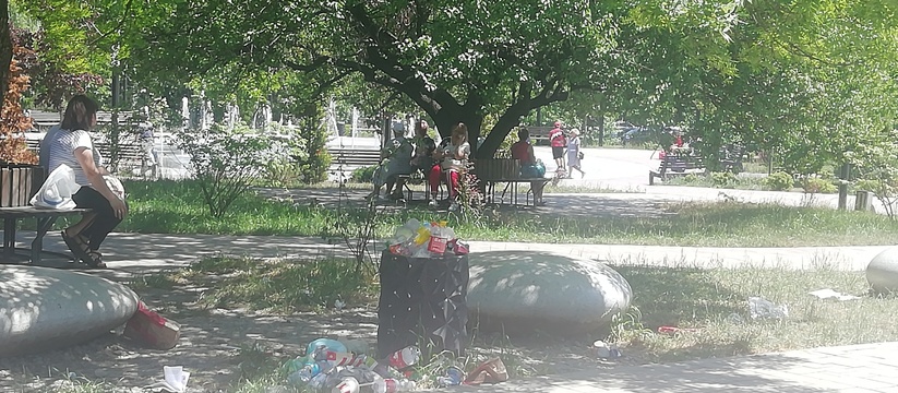 Все урны в парке переполнены, мусор разлетается по всему скверу.В редакцию НАШЕЙ обратилась жительница Новороссийска.