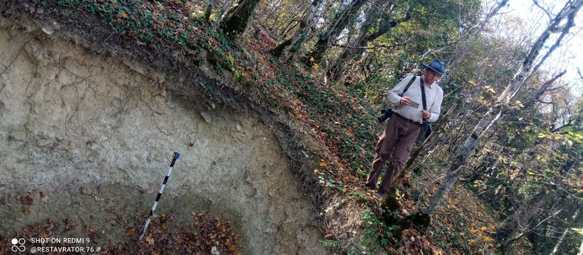 Археологи обнаружили разграбленные курганы в лесу под Новороссийском