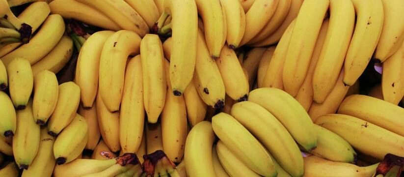 Будут по 200 рублей: цена на бананы подскочила в два раза