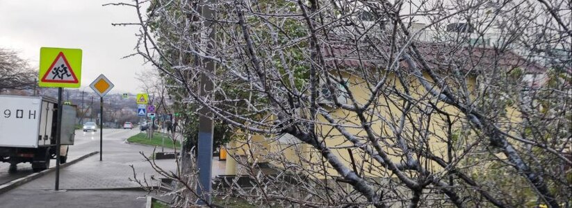 Хрустальные деревья: в Новороссийске прошел ледяной дождь 