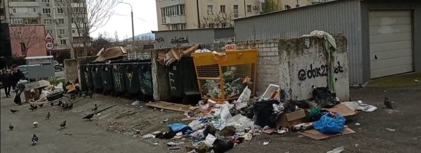 «Город превратился в помойку!»: в центре Новороссийска образовалась мусорная свалка