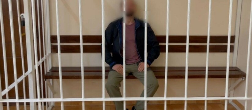 Сочинского блогера-сыроеда, заморившего месячного сына голодом, заключили под стражу