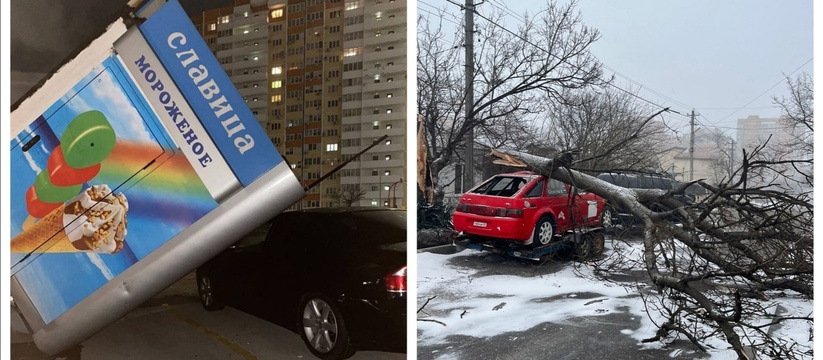 «Пункт назначения отдыхает!»: в Новороссийске на автомобили падали деревья, крыши и ларьки