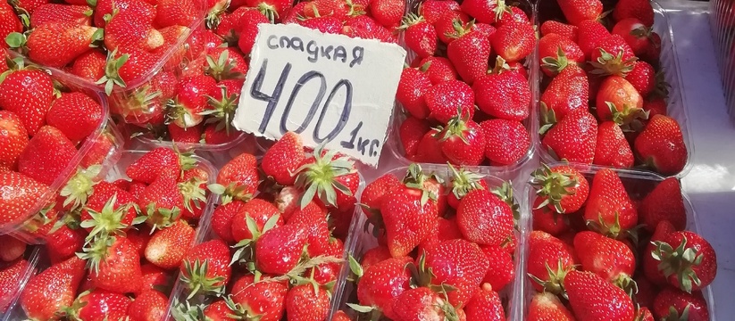 В Новороссийске пошла местная клубника: но цены на сладкую ягодку пока «кусаются»