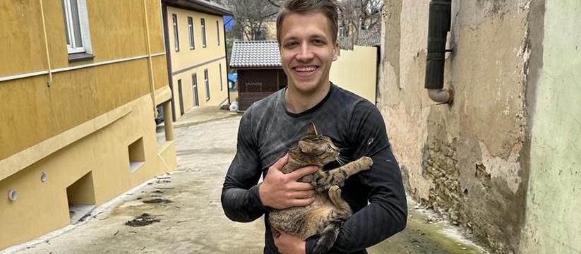 В Новороссийске спасатели сняли домашнего кота с березы, где он просидел двое суток