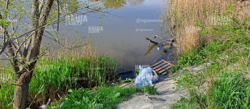 В Южных прудах Новороссийска утонул мужчина: произошедшее попало на видео