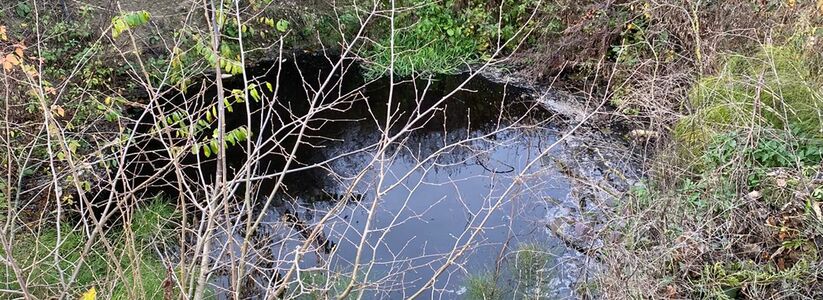 Минприроды не знает, кого наказать за черную воду в истоке реки Цемес в Новороссийске