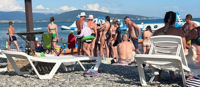 «Люди начали выпрыгивать из моря!»: туристов напугала змея, выползшая из воды на пляж Алексино в Новороссийске
