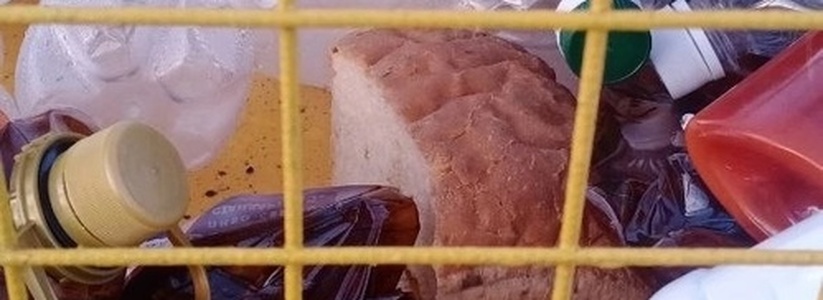 "Слабоумием страдают?": новороссийцы выбрасывают хлеб в контейнеры для сбора пластика