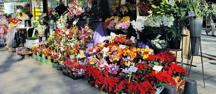 В Новороссийске к Международному женскому дню организуют 17 площадок для торговли цветами