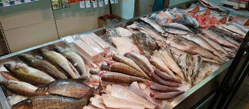 Член экологического совета Вениамин Голубитченко назвал основные причины резкого подорожания морепродуктов на Кубани 
