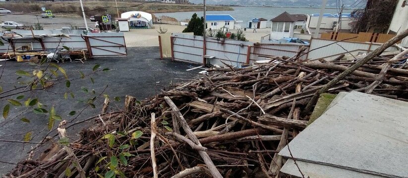 Новороссийцам предлагают бесплатно забрать древесину, выброшенную на пляжи штормом, на дрова