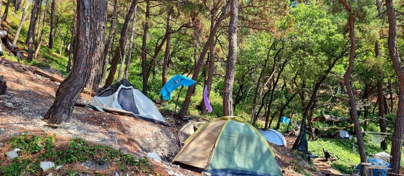 «Голубая бездна превратилась в склад фекалий»: туристы, отдыхающие в нелегальных кемпингах, загадили сосновый лес