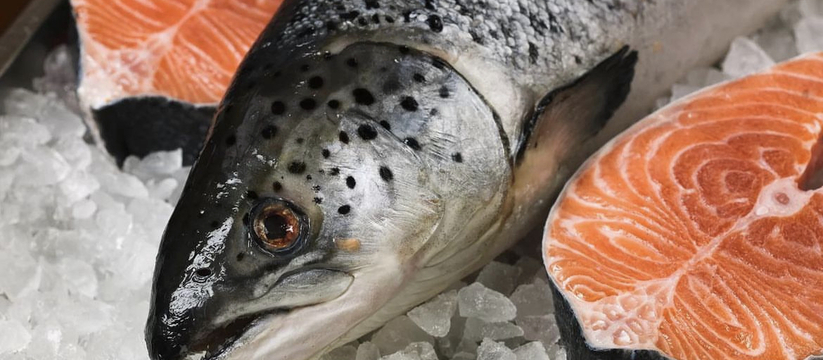 Заживем по-царски: новороссийцы смогут покупать красную рыбу дешево