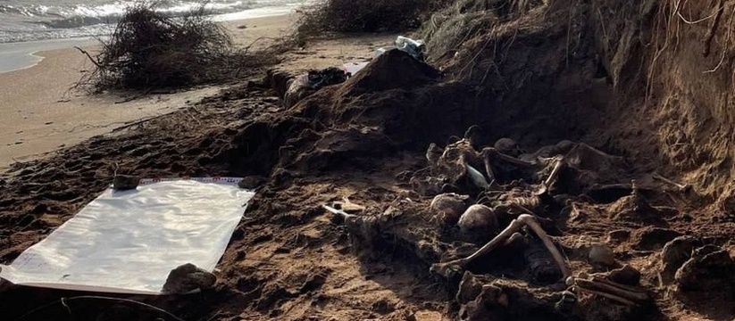 Шторм вымыл захоронение советских воинов в Крыму, среди скелетов найдены останки освободителя Новороссийска 