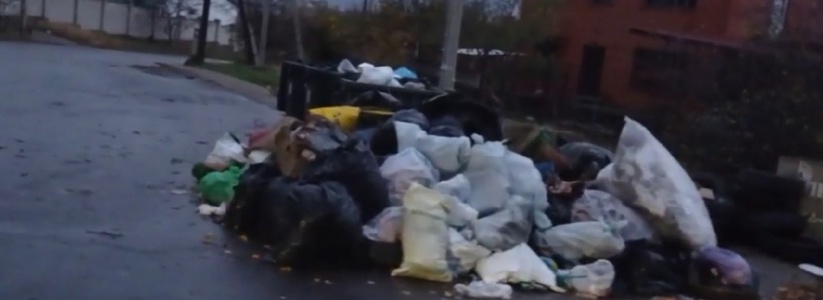 «Ждете пока случится пожар?»: новороссийцы жалуются на свалку мусора и покрышек возле контейнеров 