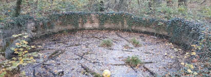 Экологи обнаружили в Цемесской роще каптажный колодец, построенный, предположительно, в начале прошлого столетия