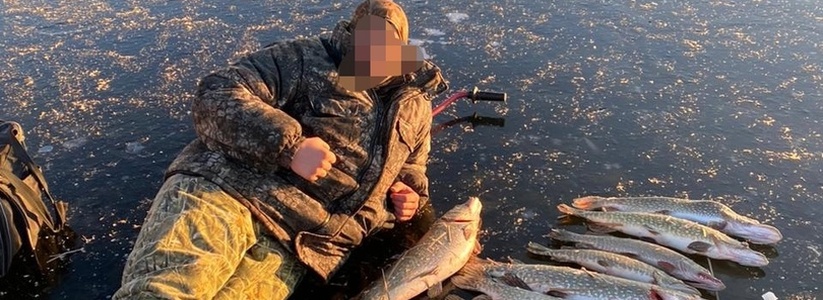 В Темрюкском районе рыбаки, рискуя жизнью, ловят икряных щук на замерзших лиманах