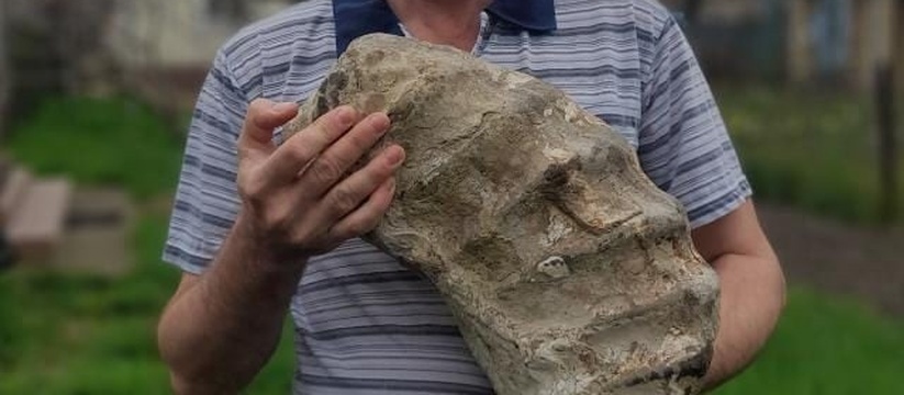 Новороссиец нашел гигантскую раковину аммонита, жившего несколько миллионов лет назад