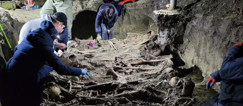 В огороде жительницы Новороссийска нашли 17 скелетов