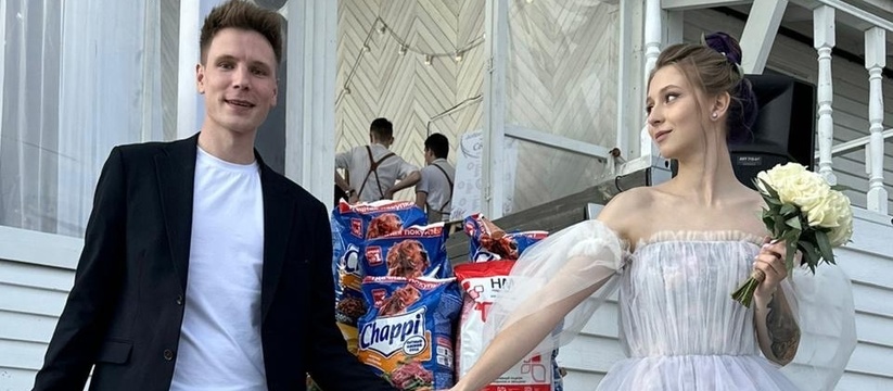 Молодожены из Новороссийска попросили гостей дарить им корм для животных вместо цветов